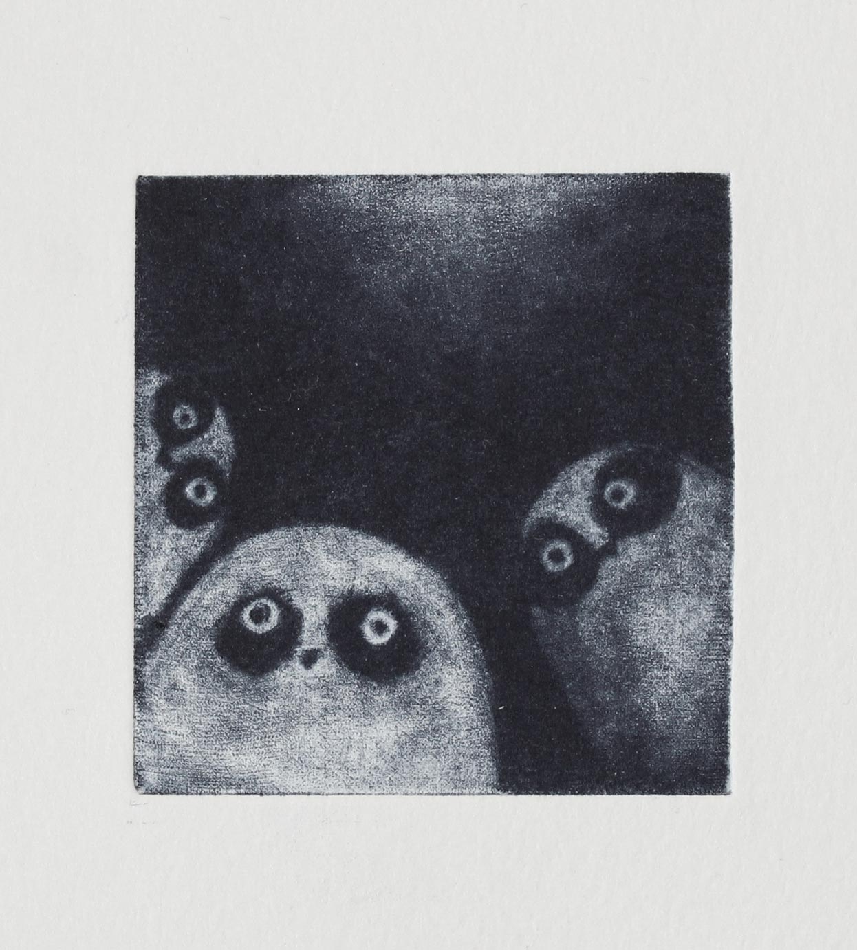Gravure à la manière noire "Chouettes"