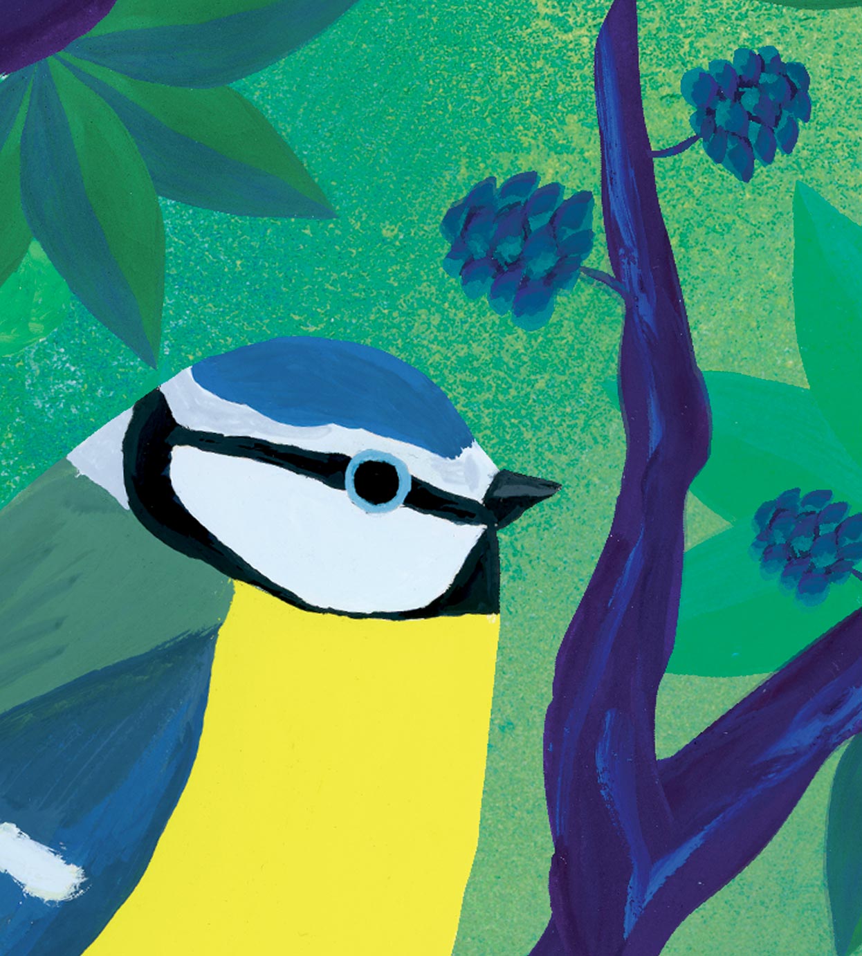 Tirage d'art Mésange bleue